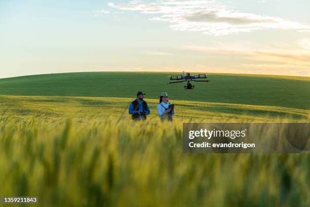 drone no copyright fly in the wheat crop - op afstand bediend stockfoto's en -beelden