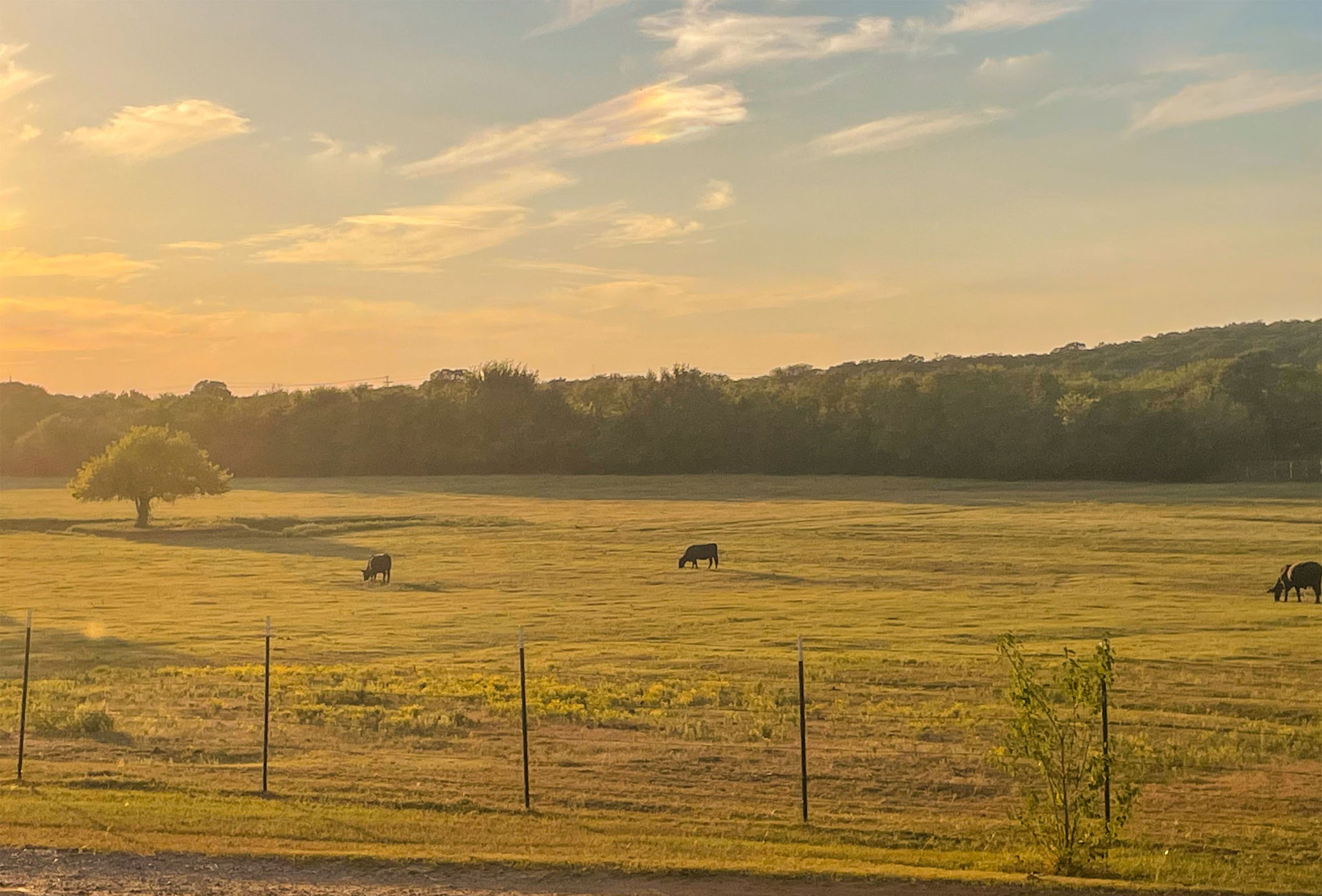 rural texas