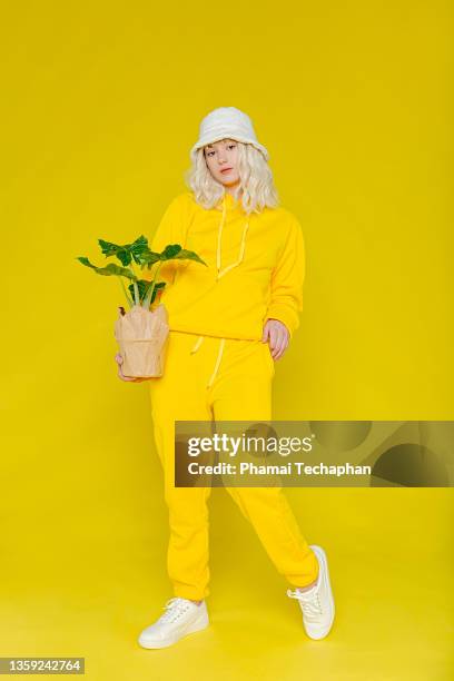 young woman holding pot of plant - sonnenhut pflanzengattung stock-fotos und bilder