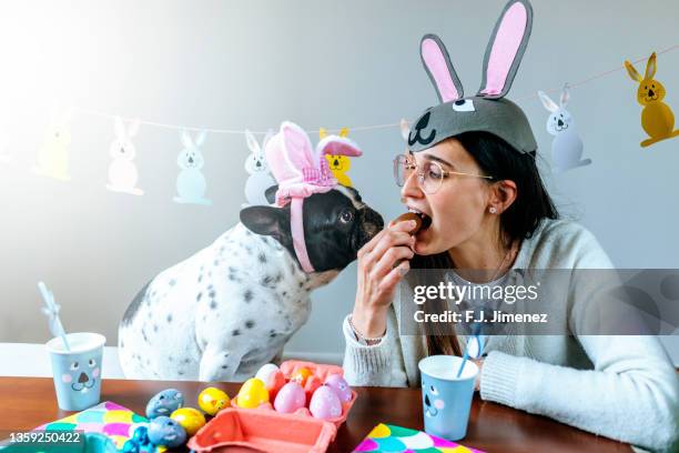 dog and woman with costume and easter decorations - dog easter stock pictures, royalty-free photos & images