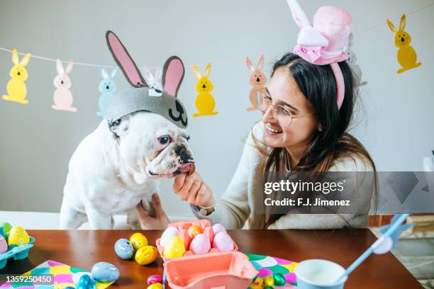 woman with dog celebrating easter - easter hats stockfoto's en -beelden