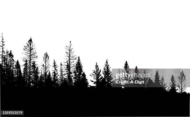 stockillustraties, clipart, cartoons en iconen met trees with no leaves - bomenrij