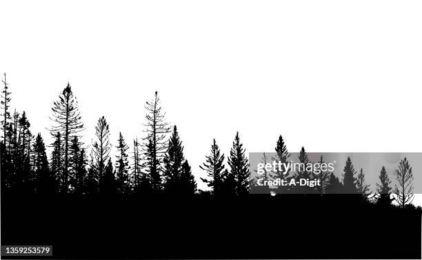 stockillustraties, clipart, cartoons en iconen met trees with no leaves - woud