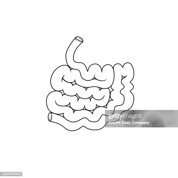 bildbanksillustrationer, clip art samt tecknat material och ikoner med black and white vector illustration of children's activity coloring book pages with pictures of internal organ small intestine. - tunntarm