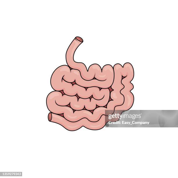 Appendix Draw Illustrations, cliparts, dessins animés et icônes de Appendix Drawing ...