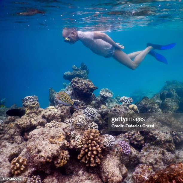 senior man swimming in maldivian lagoon - old people diving stock pictures, royalty-free photos & images