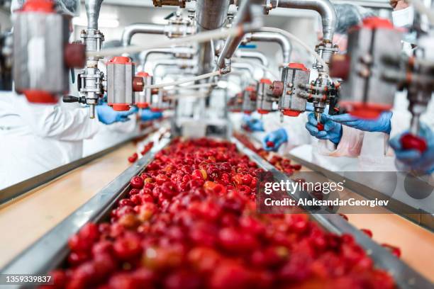 désensemencement des cerises dans une usine de pudding par des travailleurs - aliment photos et images de collection