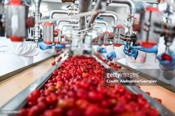 de-seeding of cherries in chia pudding factory by workers - food van stockfoto's en -beelden