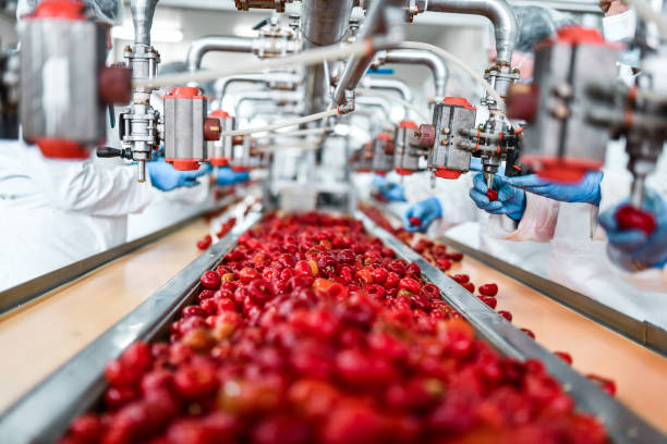 de seeding of cherries in chia pudding factory by workers