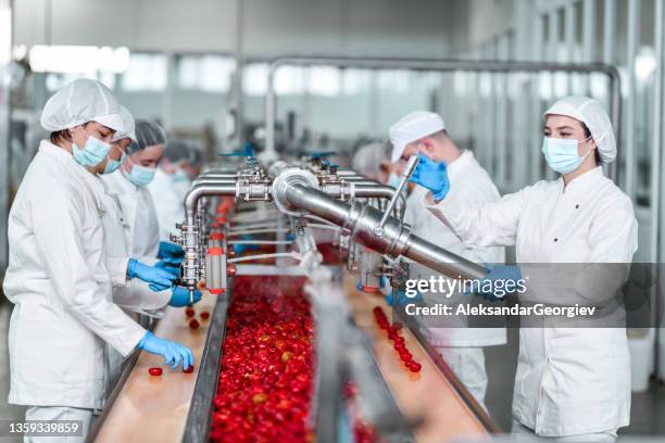 factory workers using machine to process peppers and fill them before jarring - rode handschoen stockfoto's en -beelden