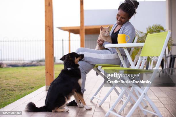 woman petting her cat and dog. - cat and dog together bildbanksfoton och bilder