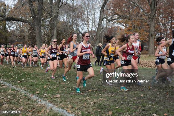 Student athletes compete during the Division III Men"u2019s and Women's Cross Country Championship held at E.P. "Tom" Sawyer State Park on November...