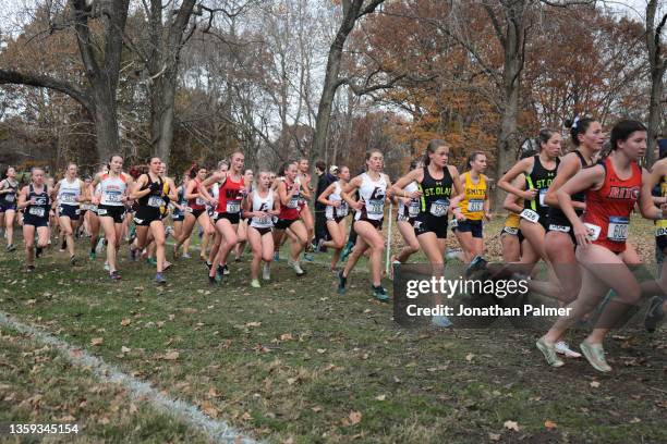 Student athletes compete during the Division III Men"u2019s and Women's Cross Country Championship held at E.P. "Tom" Sawyer State Park on November...