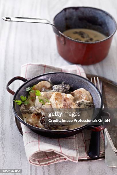 veal sweetbreads in a morel mushroom sauce - sweetbread stock pictures, royalty-free photos & images