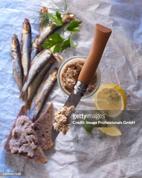 mackerel rillette on an opinel knife, with wholegrain bread, fresh mackerel, and lemon wedges - pate stock pictures, royalty-free photos & images