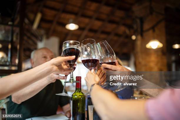family toasting with wine before lunch - argentina wine stock pictures, royalty-free photos & images