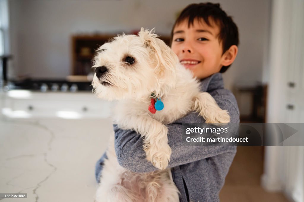 Niño sosteniendo al perro morki en la cocina.