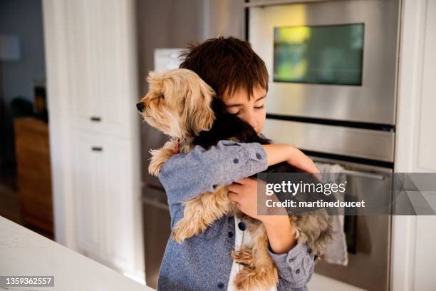 young boy being comforted by holding morki dog in kitchen. - child holding toy dog stock pictures, royalty-free photos & images