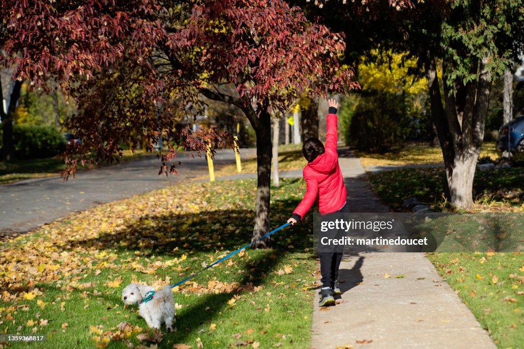 Kleiner Junge, der im Herbstlaub mit den Hunden spazieren geht.