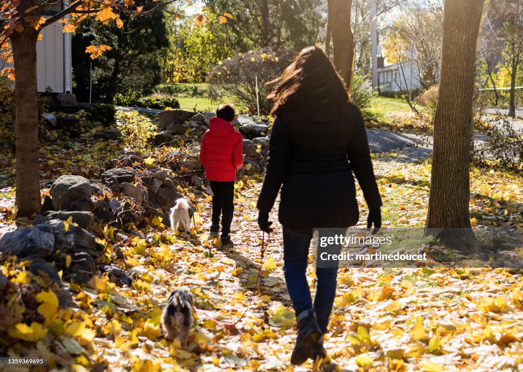 Madre e figlio che camminano i cani nelle foglie autunnali.