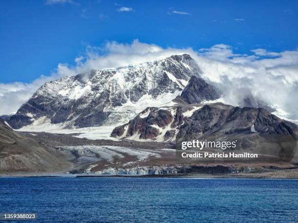 receding  cook glacier, st andrew's bay - st andrews bay stockfoto's en -beelden