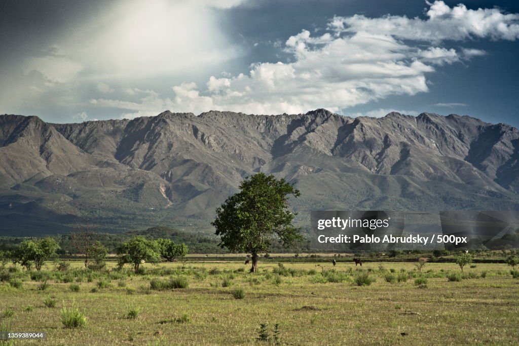 Arbol de Traslasierra,Scenic view of field and mountains against sky,San Alberto Department,Cordoba,Argentina