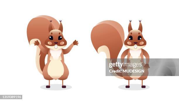 cartoon squirrel. different poses - squirrel stock illustrations