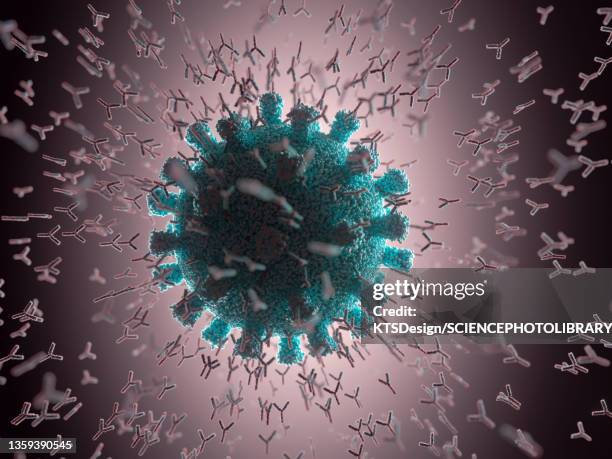 antibodies attacking coronavirus particle, illustration - rna virus 幅插畫檔、美工圖案、卡通及圖標