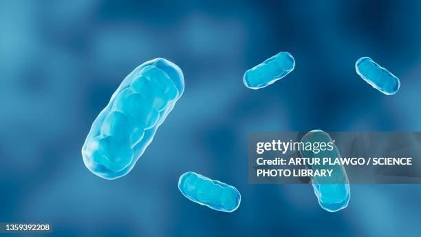 mitochondria, illustration - metabolism点のイラスト素材／クリップアート素材／マンガ素材／アイコン素材