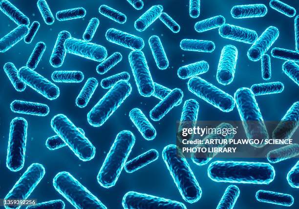 bacillus bacteria, illustration - lactobacillus stock-grafiken, -clipart, -cartoons und -symbole