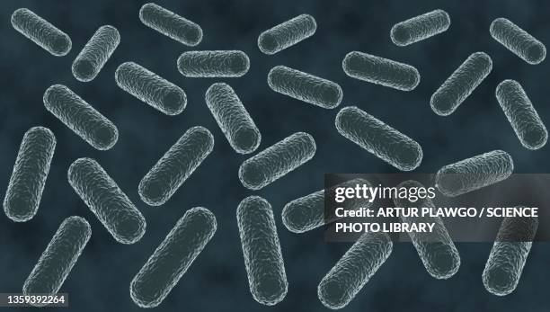 bacteria microscopy, illustration - lactobacillus stock illustrations
