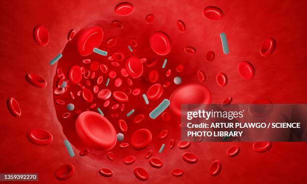 bacteraemia, illustration - human blood stock illustrations