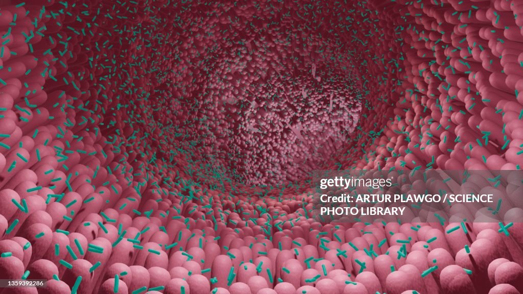 Microbiome, illustration