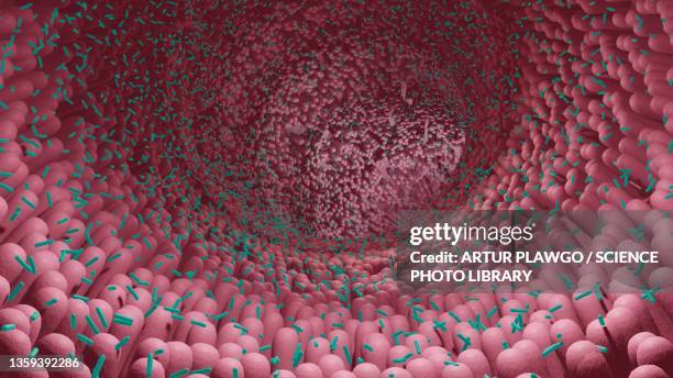 microbiome, illustration - nutritional supplement stock illustrations