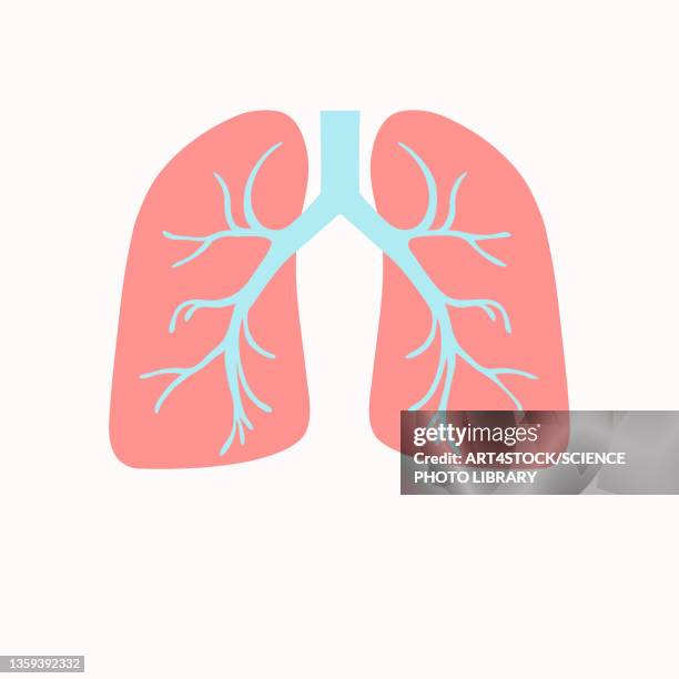 ilustraciones, imágenes clip art, dibujos animados e iconos de stock de tuberculosis, conceptual illustration - human lung