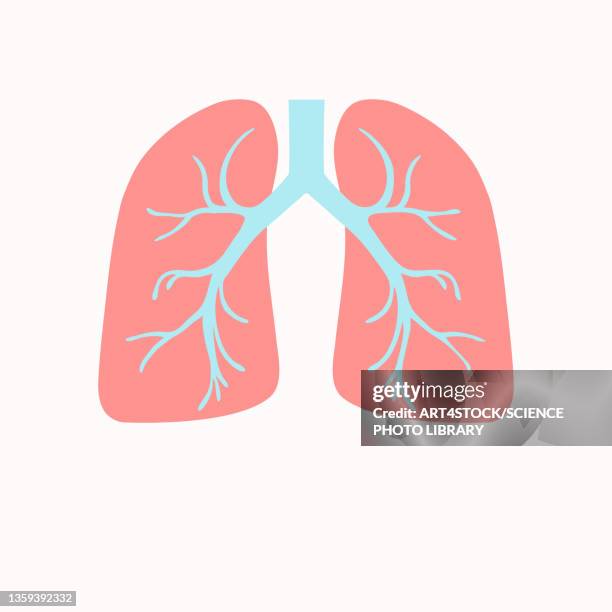tuberculosis, conceptual illustration - human lung 幅插畫檔、美工圖案、卡通及圖標