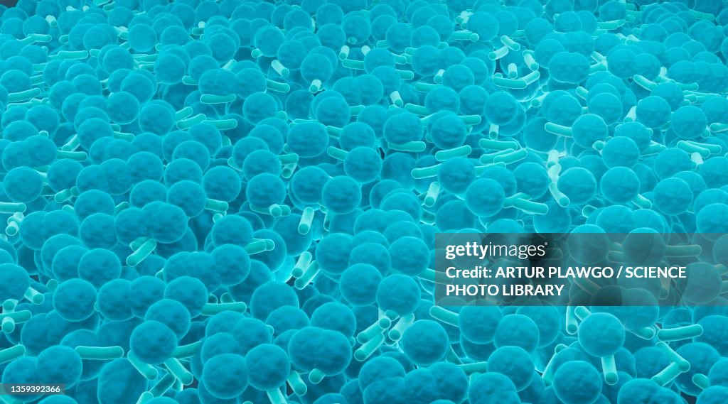 Biofilm, illustration