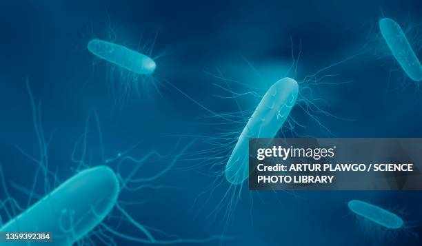stockillustraties, clipart, cartoons en iconen met clostridium difficle bacteria, illustration - bloedvergiftiging