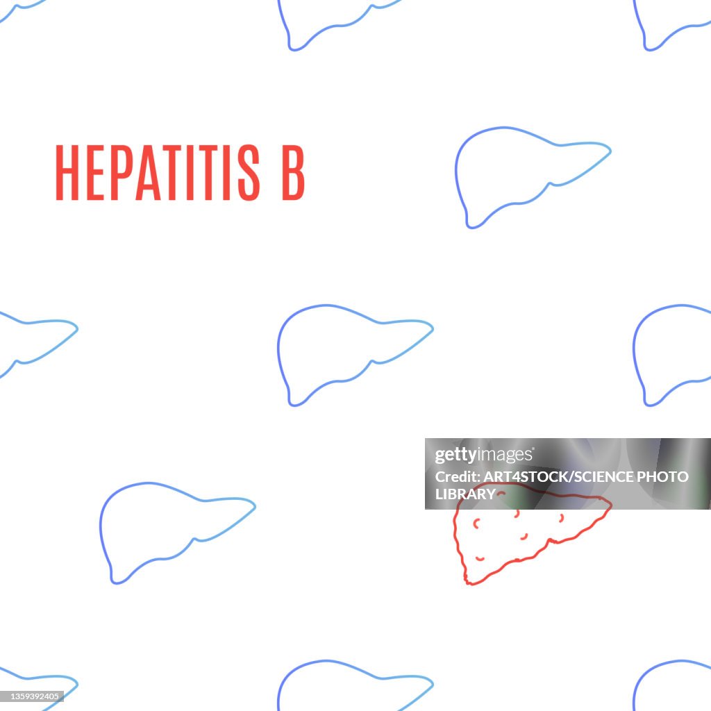 Hepatitis B, conceptual illustration