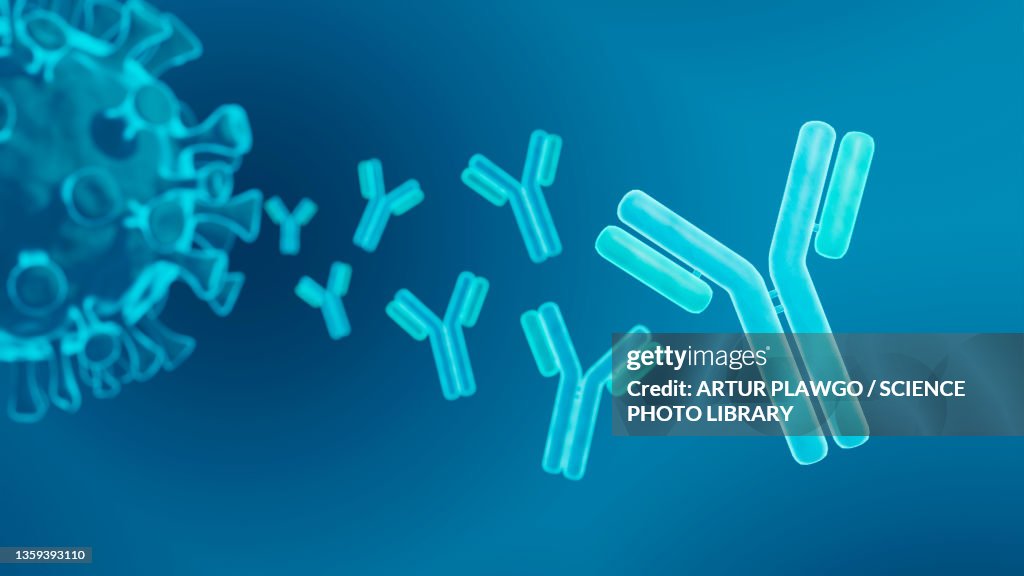 Antibodies, illustration