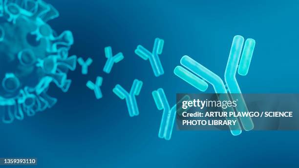 antibodies, illustration - immunology stock illustrations