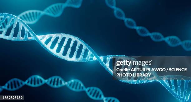 dna, illustration - genetic modification 幅插畫檔、美工圖案、卡通及圖標