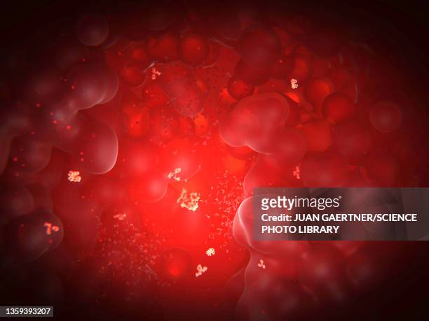 immune system, conceptual illustration - macrophage stock pictures, royalty-free photos & images