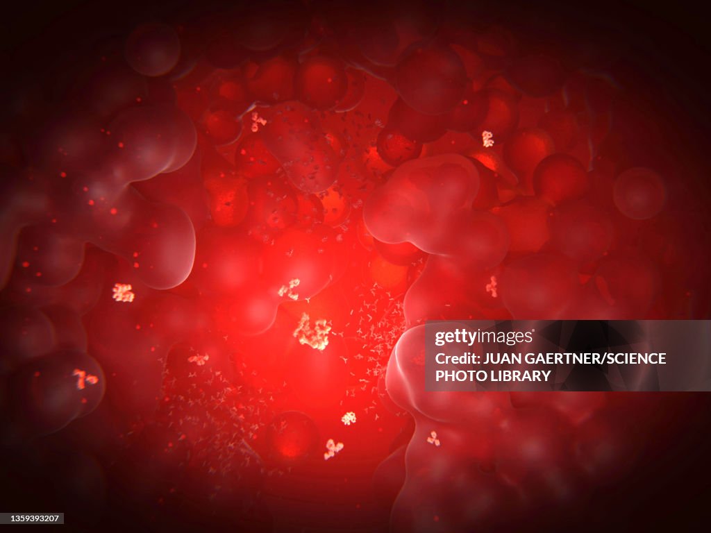 Immune system, conceptual illustration