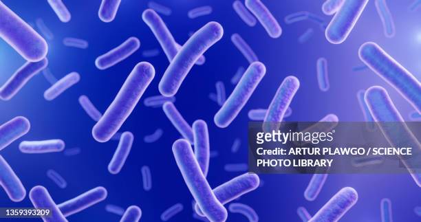 mycobacteria illustration, illustration - lactobacillus stock-grafiken, -clipart, -cartoons und -symbole