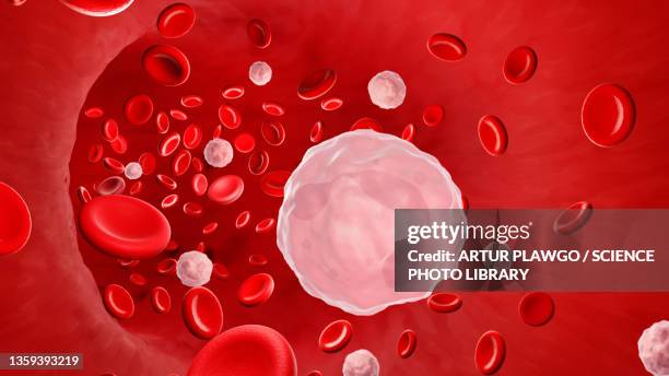 illustrazioni stock, clip art, cartoni animati e icone di tendenza di neutrophil in the blood stream, illustration - granulocita neutrofilo