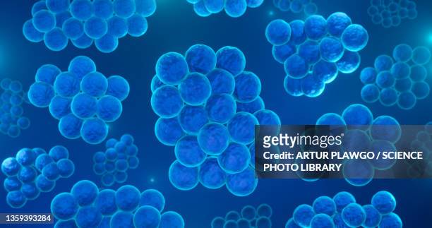 ilustraciones, imágenes clip art, dibujos animados e iconos de stock de staphylococcus aureus bacteria, illustration - estafilococo