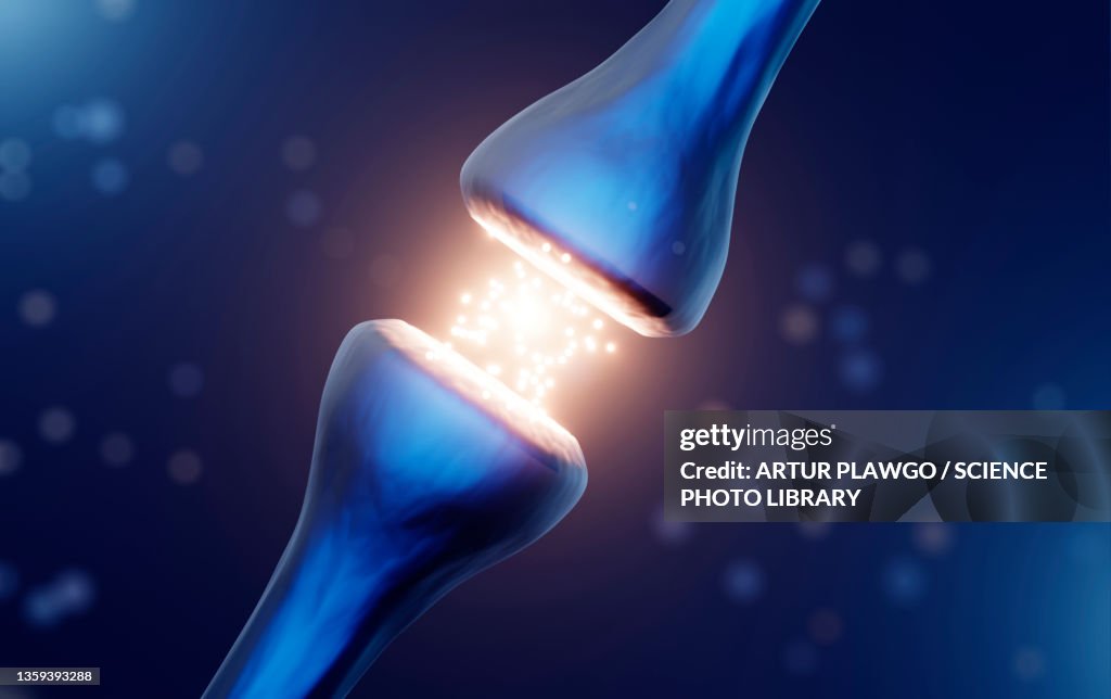 Synapse, illustration