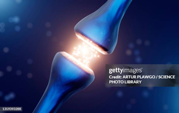 synapse, illustration - nerve cell stock pictures, royalty-free photos & images