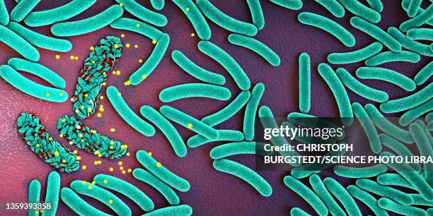 Destroying Pathogens 146 Destroy Bacteria Stock Photos, High-Res Pictures, and Images ...